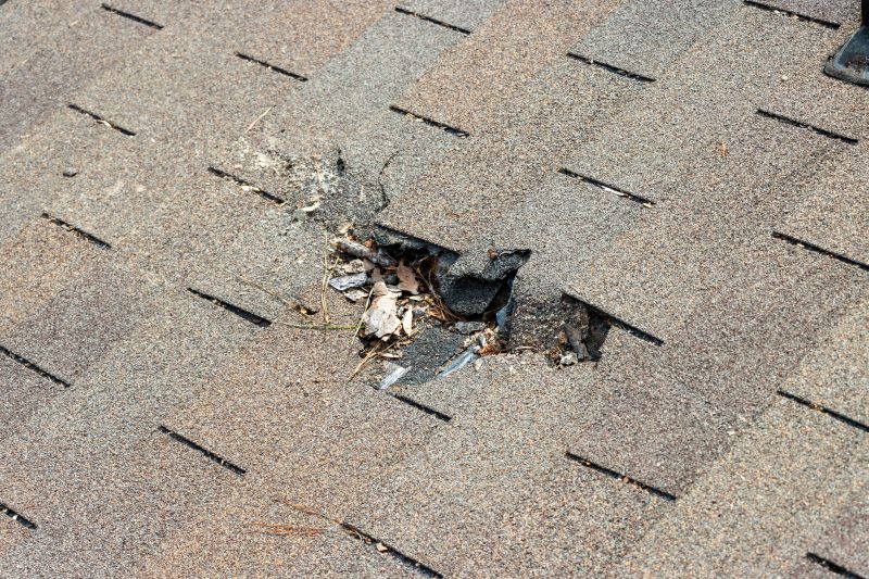 Roof Shingles Replacement in Suwanee, GA