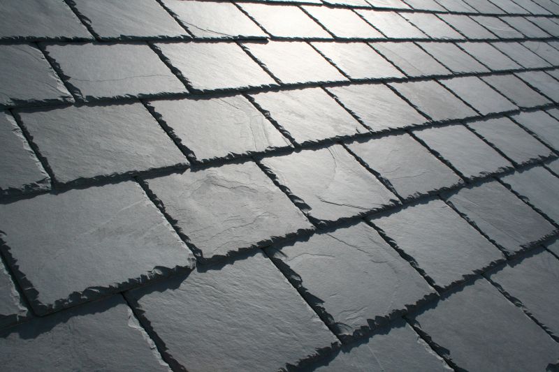 Slate Roof Replacement in Ball Ground, GA
