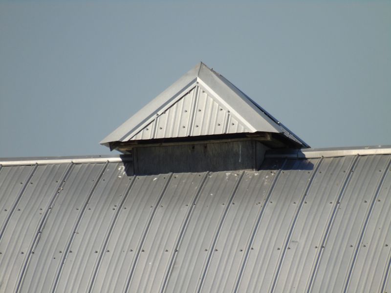 Tin Roof Installation in Lilburn, GA