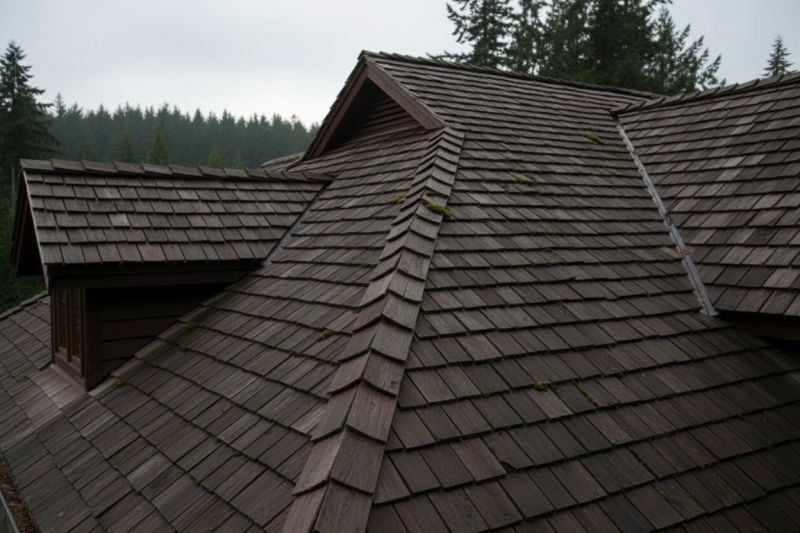 Wood Shake Roof Replacement in Powder Springs, GA